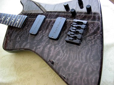 electronic tuner inlayed into neck___Click for IMAGE